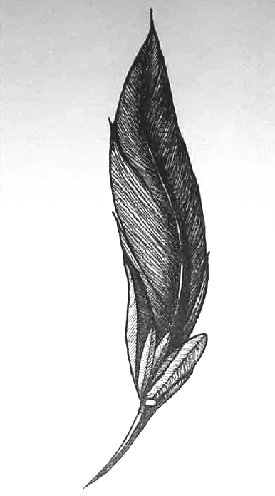 Pluma